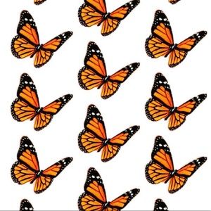 Meet your Posher, Kristy